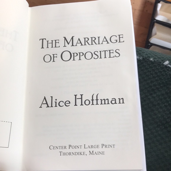 “The marriage of opposites“ A novel by Alice Hoffman - Picture 11 of 16